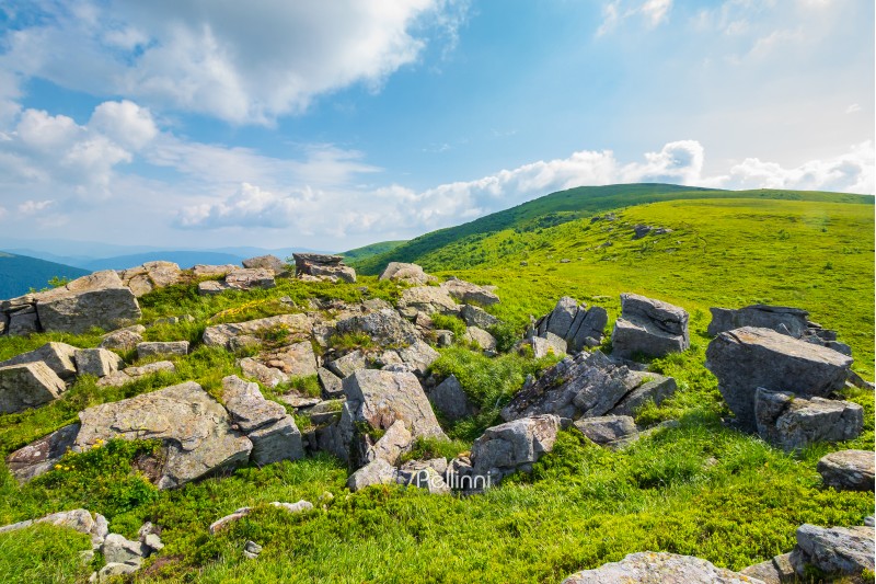 grassy slope with huge rocks. wonderful summer landscape in mountains. grassy meadow with huge boulders. beautiful sunny landscape. mountains in summertime