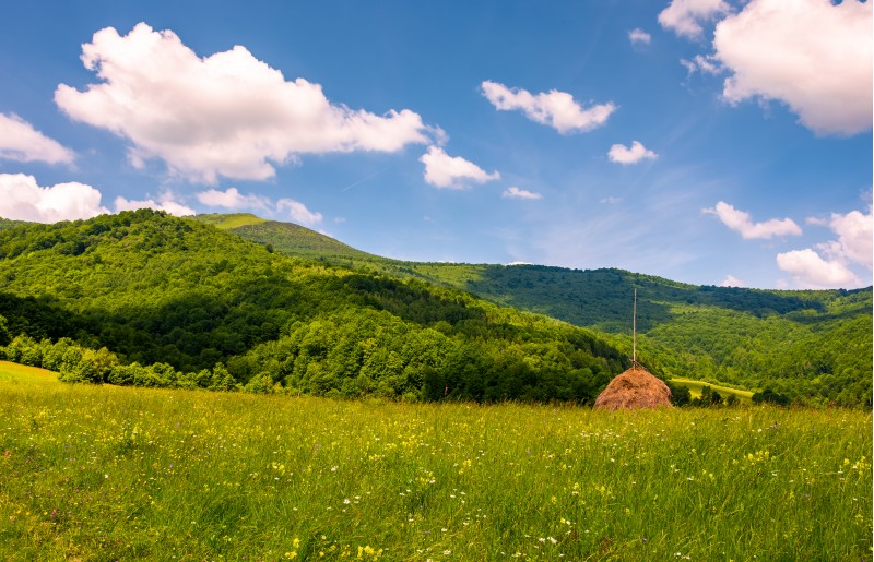 hay stack on the grassy meadow in mountain. beautiful countryside landscape under the blue sky with some clouds in summertime