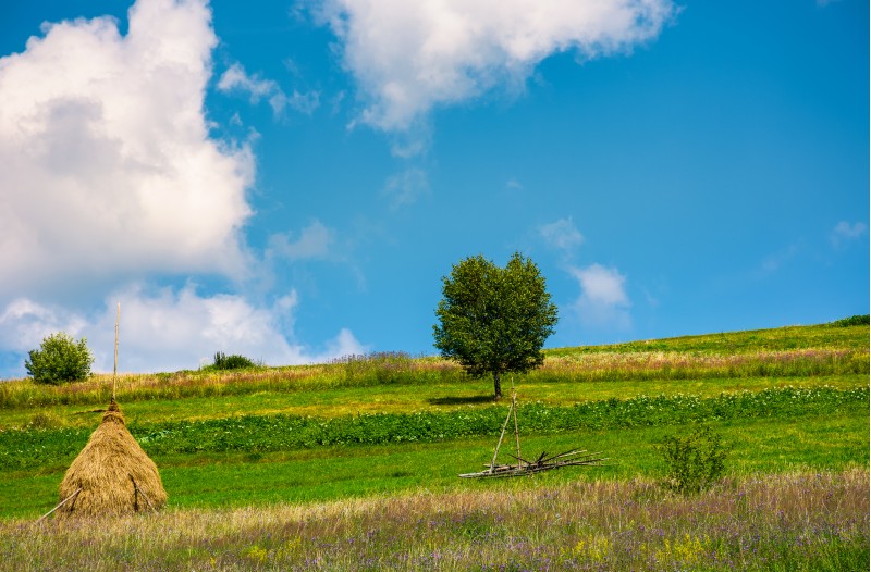 haystack and a tree on the grassy field. beautiful summer countryside of mountainous area