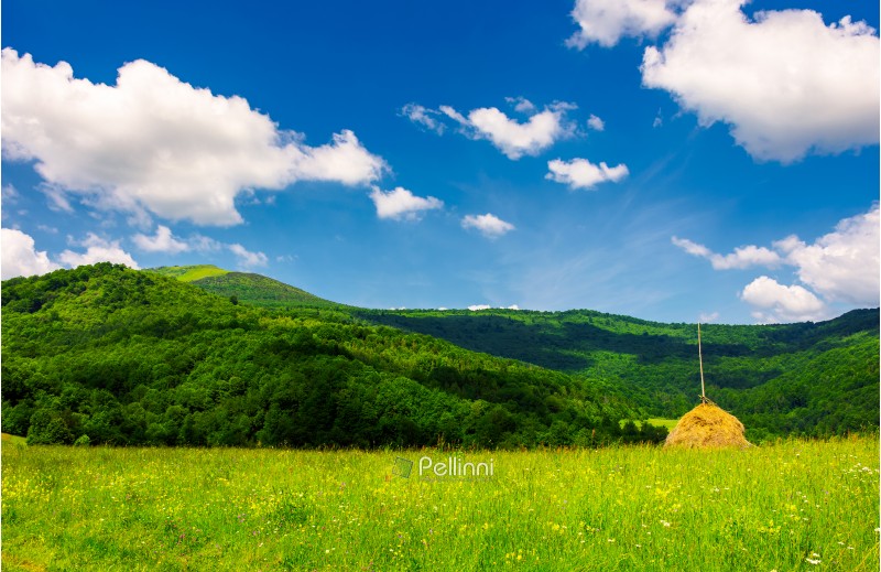 haystack on a grassy pasture in mountains. beautiful summer scenery on a fine weather day