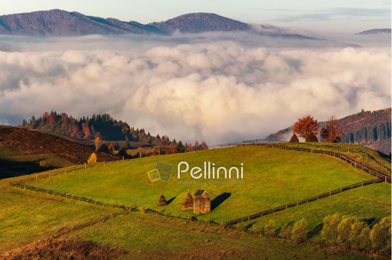 haystack on hillside above the clouds at sunrise. gorgeous rural landscape in high mountains