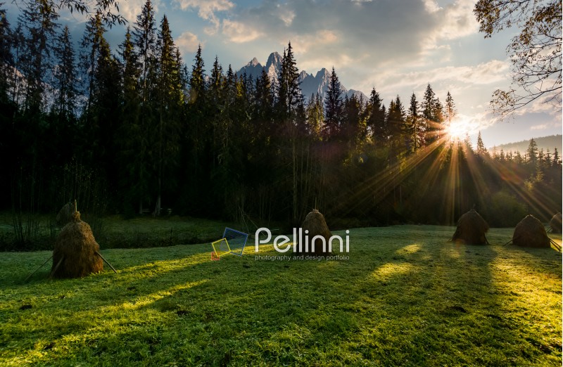 haystacks on the grassy forest meadow in High Tatra mountains. Beautiful rural scenery composite in Slovakia at sunrise
