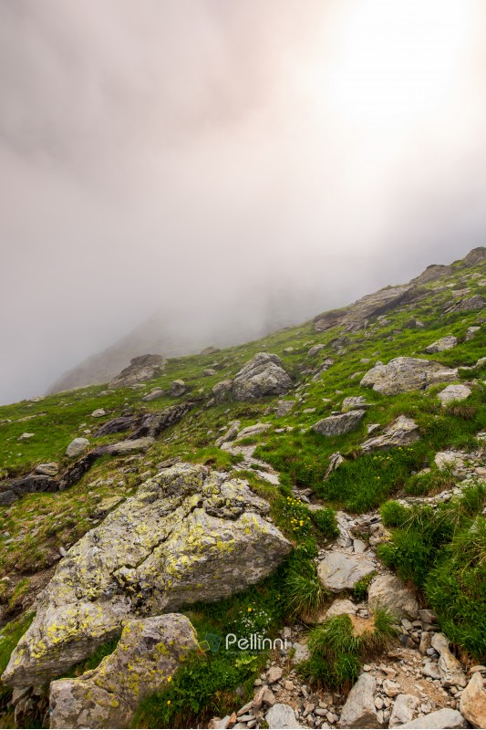 hiking in fog on a cloudy summer day. beautiful nature scenery on high altitude