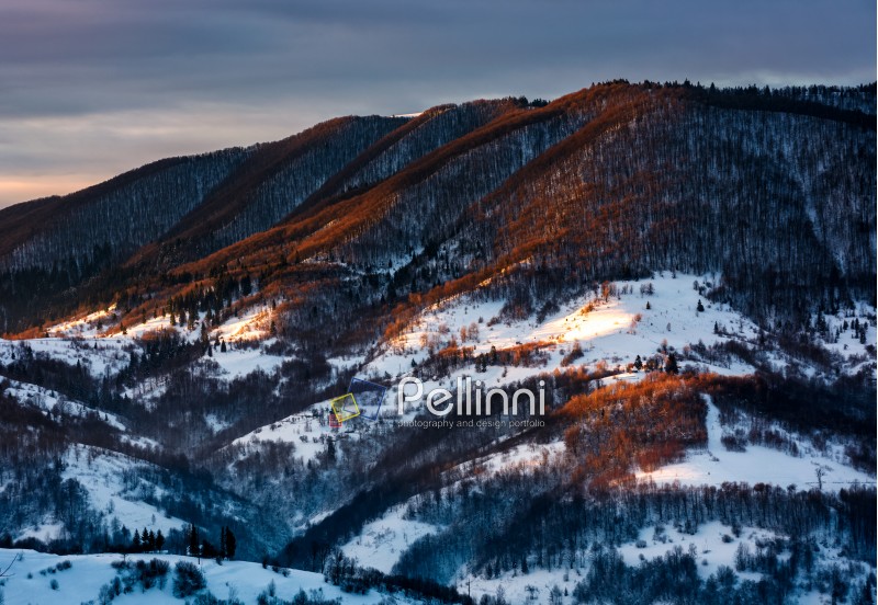 hillside in red light on winter sunrise. beautiful nature scenery in mountains