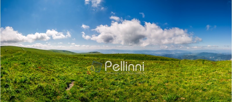 panoramic summer landscape  in mountains. fine weather on under blue sky with some clouds