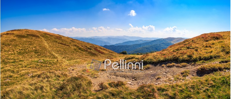 panoramic summer landscape. path through the meadow uphill to the mountain top