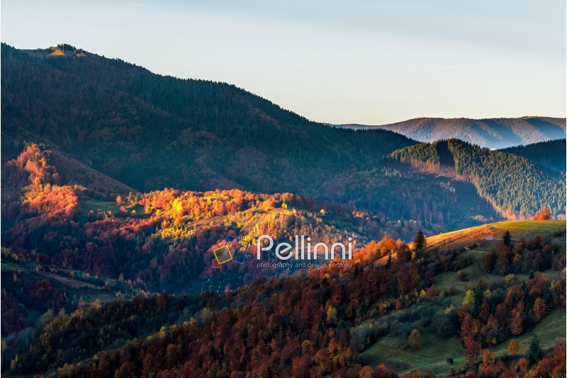 landscape; morning; autumn; forest; mountain; nature; mist; tree; travel; green; warm; golden; red; foliage; view; yellow; environment; hill; season; beautiful; plant; vivid; spectacular; idyllic; ridge; color; meadow; valley; weather; dramatic; haze; fall; sunrise