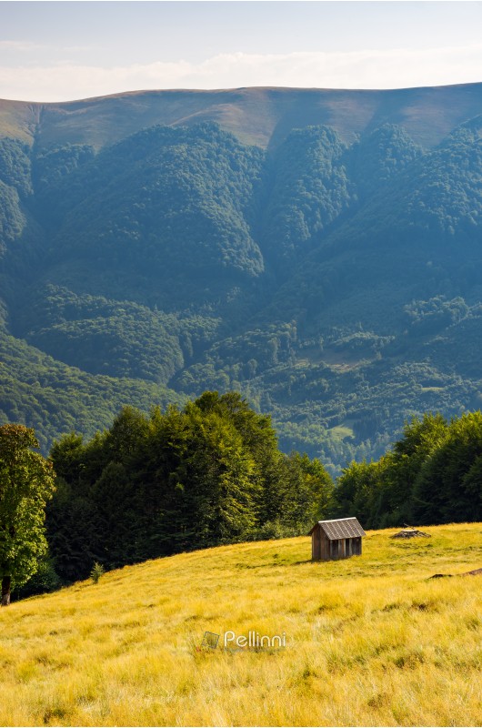 hut on the grassy hill near the beech forest. beautiful scenery in mountains. warm and sunny afternoon in summer
