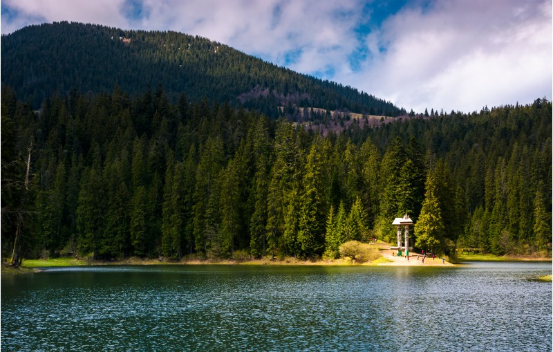 lake in Synevyr national park in springtime. beautiful nature of Carpathians. 
