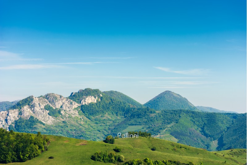 landscape in mountains with rocky formations. grassy meadows, forested hills and huge cliffs. wonderful nature scenery. beautiful sunny weather in springtime