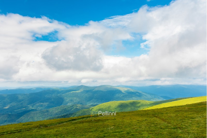 landscape in mountains. hills and meadows. sunny weather with beautiful cloudscape. grassy green slope and distant ridge.