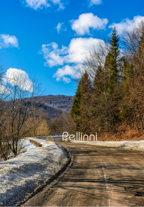 spring has come. last days of winter landscape. countryside curve road with snow on a side passes through forest in mountains