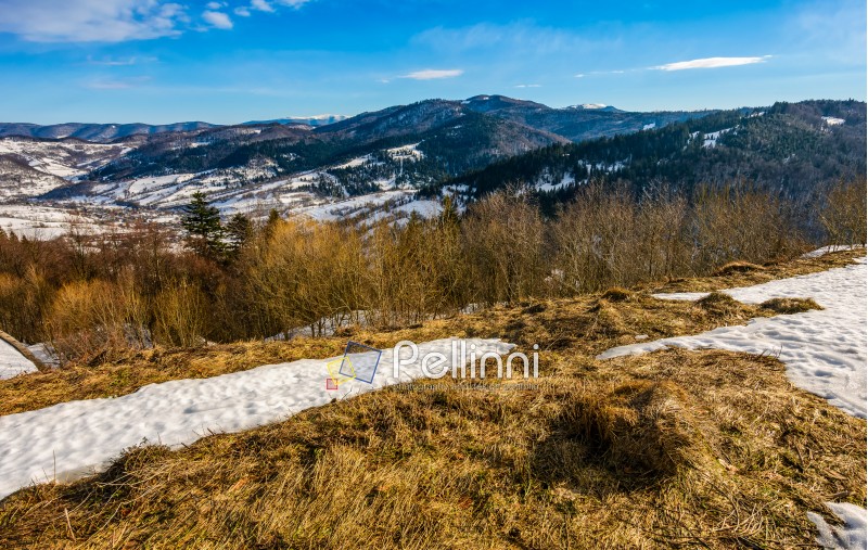 spring has come. last days of winter landscape. forest on mountain hills and peaks covered with snow. weathered yellow grass on meadows under blue sky