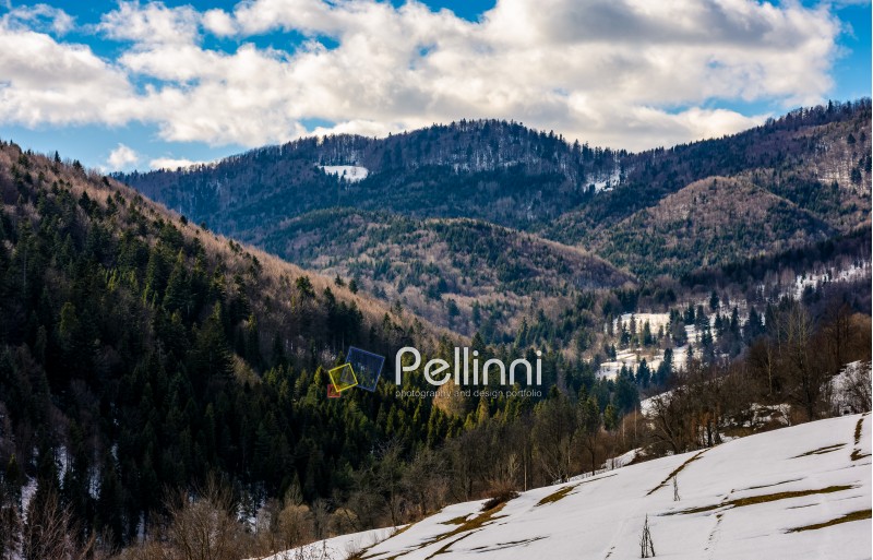 spring has come. last days of winter landscape. coniferous forest on hills of a mountain ridge under blue sky with clouds