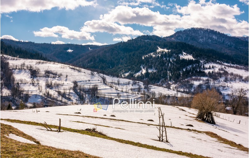 spring is comming. last days of winter landscape. rural field with weathered yellow grass covered with snow. village at the foot of the mountain ridge