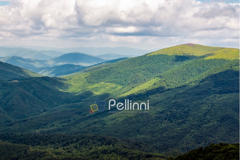 mountain landscape. slope of mountain range with coniferous forest and meadow on top