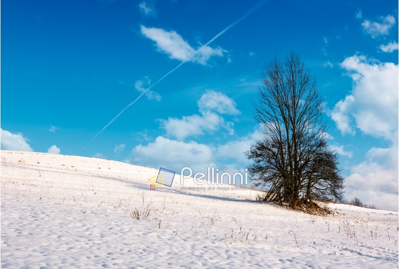lonely tree on a snowy hillside. lovely nature scenery on fine winter day with cloudy blue sky