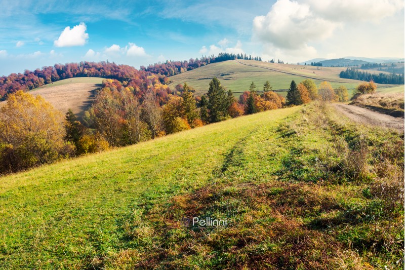 lovely autumn landscape in mountains. forest with red foliage on the hill in the distance. wonderful weather on a sunny day