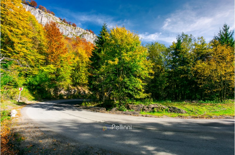 lovely autumn landscape in mountains. mixed forest with colorful foliage in bright light. travel by car concept