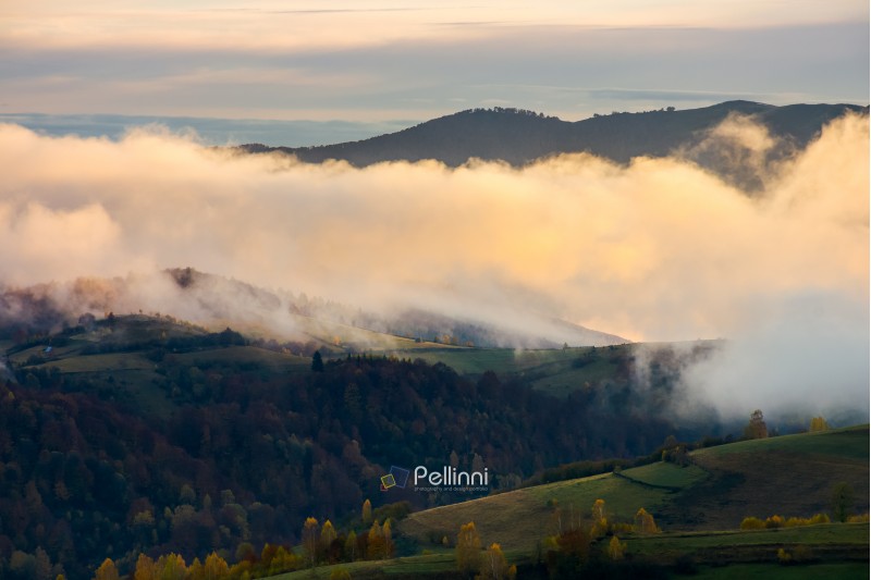 cloud inversion at dawn. lovely autumn scenery of mountainous rural area