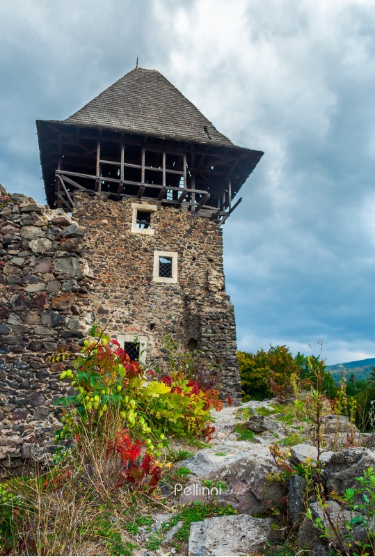 main tower of Nevytsky castle. ruins of medieval fortress, popular tourist destination of TransCarpathia