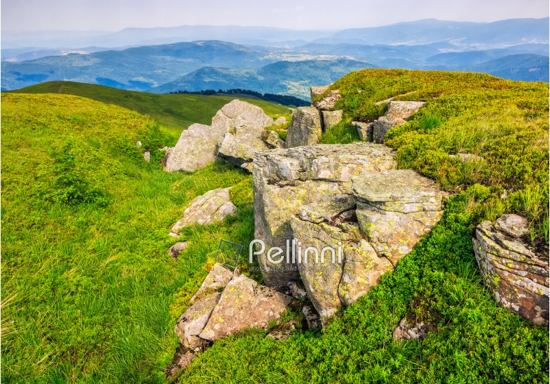 landscape with grassy meadow with giant boulders on the slope of a hill in Carpathian mountain ridge on a beautiful sunny summer day