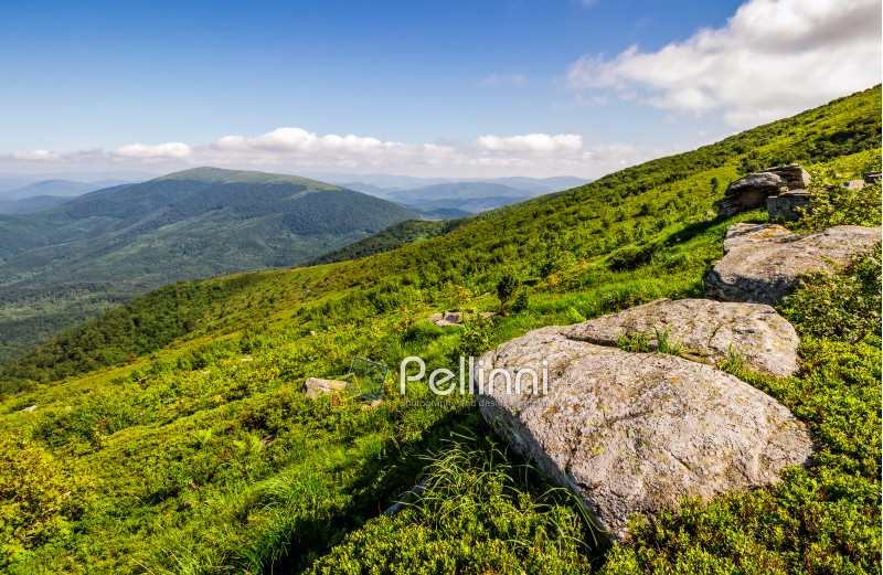 grassy meadow with giant boulders on the slope. mountain ridge on a beautiful sunny summer day. wonderful Carpathian landscape 