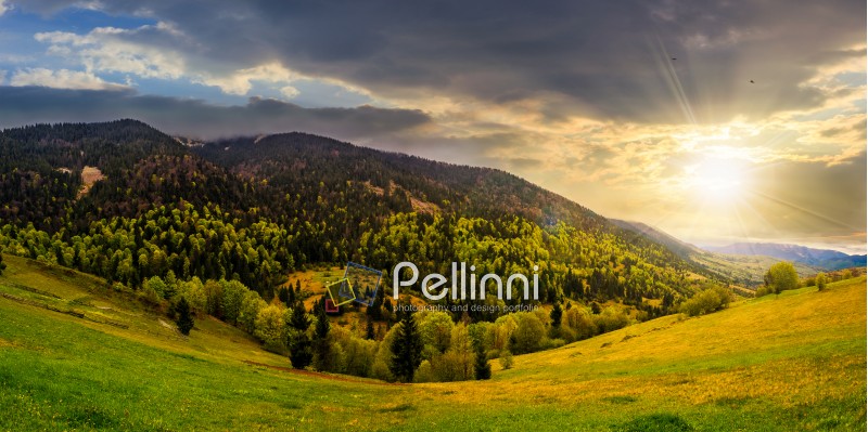 mountain landscape. hillside with trees on green grassy meadow near foggy mountains under overcast sky at sunset
