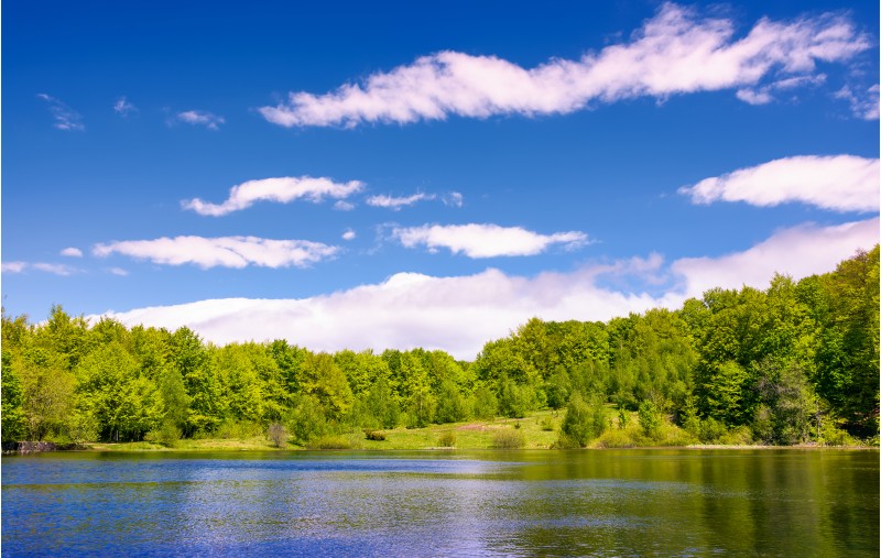 mountain lake among the green forest in picturesque springtime landscape. reflection in crystal clear water. beautiful weather with blue sky and some clouds