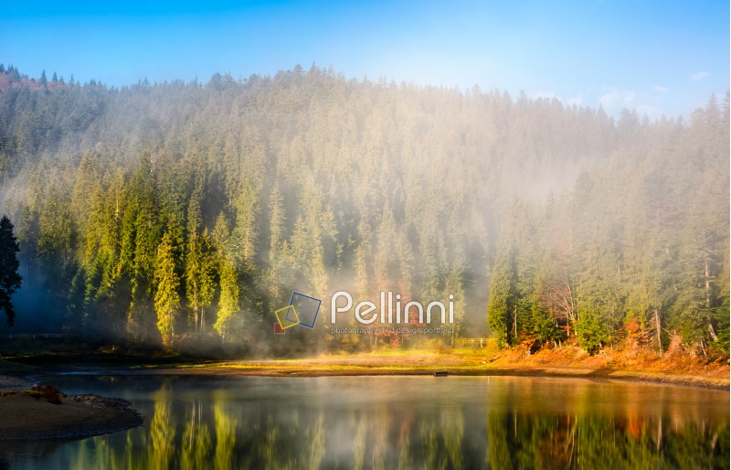 View on crystal clear lake with smoke and reflection on the water. Spruce forest on foggy autumn morning. Majestic mountain landscape at sunrise.