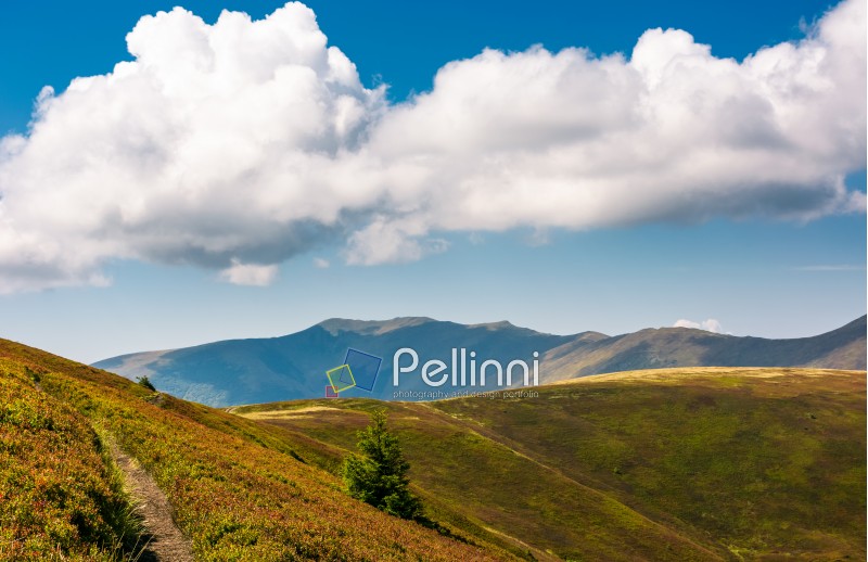 mountain ridge behind the rolling hills under the blue sky with huge cloud. wonderful weather on late summer day