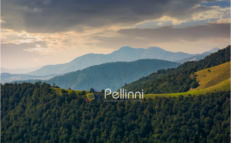 mountain ridge with forest on hills at sunrise. beautiful nature scenery in early autumn