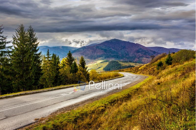 Empty asphalt mountain road with near the coniferous forest with cloudy sky in morning light