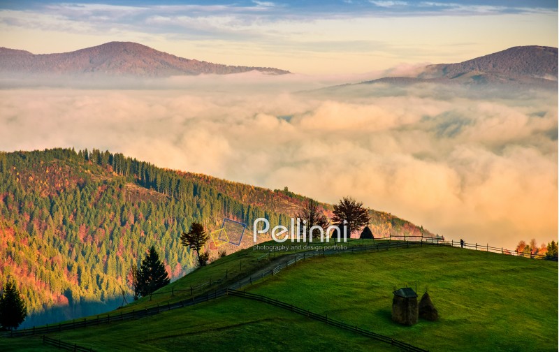 mountain rural area in autumn season. agricultural field with fence and haystack on a hillside. deep fog down in the valley. beautiful and vivid countryside landscape.