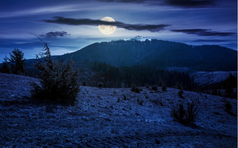 mountain with snowy peak in springtime at night in full moon light. forested hillsides with weathered grass. 