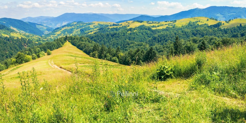 mountainous countryside on a hot summer afternoon. panoramic landscape, path through grassy slope. meadows on the distant rolling hills. village in the far away valley. sunny weather