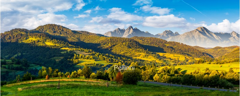 mountainous panorama of countryside at sunrise in summer. grassy fields in morning light. composite image with ridge of High Tatra rocky peaks in the distance under the blue sky with some clouds. 