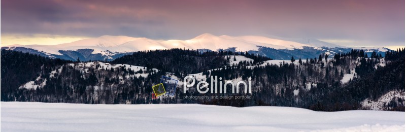 panorama of Borzhava mountain ridge in winter. gorgeous Carpathian landscape with snowy peaks at magnificent sunrise with reddish sky