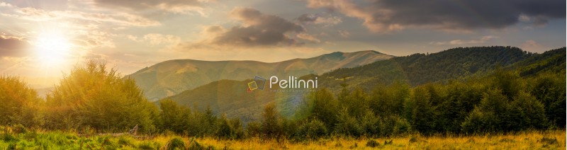 panorama of Carpathian mountains at sunset. beautiful landscape with forested hills and Apetska mountain in the distance. 
