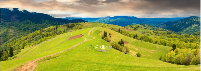 panorama of a beautiful countryside in mountains. path down the grassy rural hills rolling in to the distance. ridge beneath an overcast sky in springtime