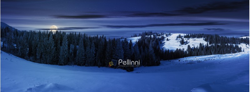 panorama of a beautiful winter landscape at night in full moon light. spruce forest on a snow covered hills. part of trees in the shade. wonderful nature scenery in mountains