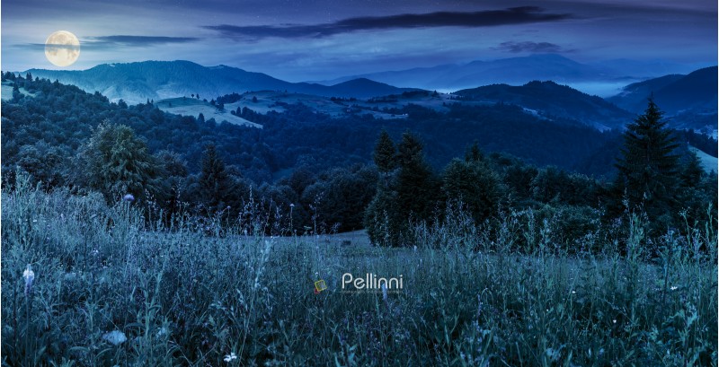panorama of a beautiful grassy meadow in mountains at night in full moon light. spruce forest on a hillside. rolling hills fall down in to the foggy valley in the distance. wonderful summer landscape