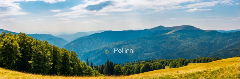 panorama of a mountainous landscape. grassy meadow down the hill in to the forest. lovely summer landscape