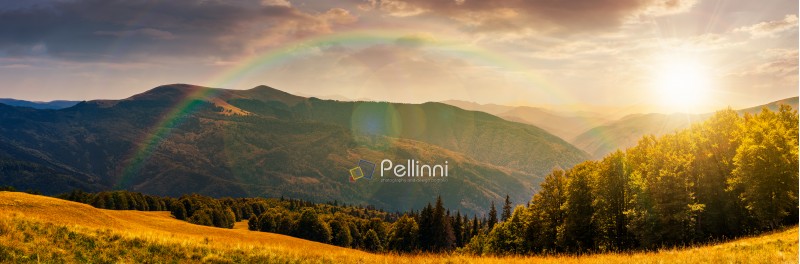 panorama of a mountainous landscape with rainbow. grassy meadow down the hill in to the forest. lovely summer landscape at sunset