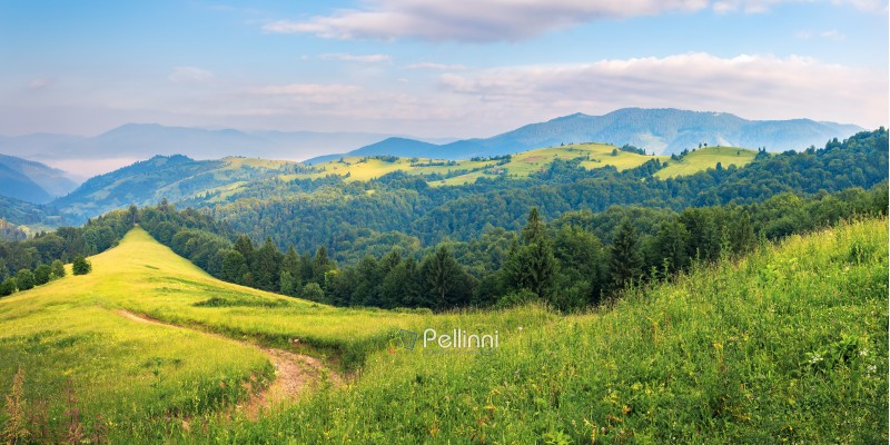 panorama of a summer countryside landscape in mountains. winding path down the grassy slope among conifer trees. rural fields on a distant hill. beautiful sunny weather at sunrise