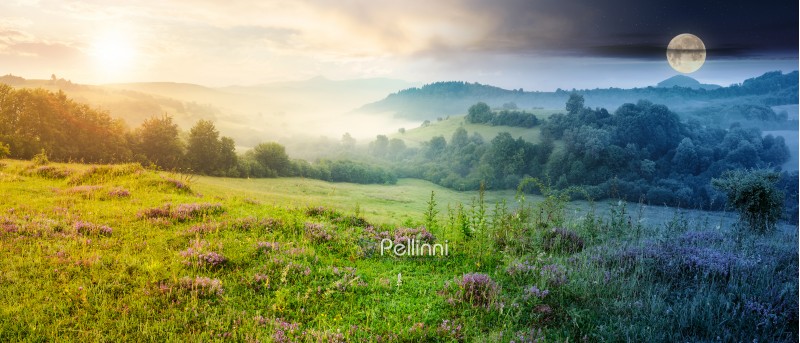 time change concept. panorama of beautiful foggy landscape in mountains. purple thyme flowers on the grassy meadow. high mountain in the distance. wonderful landscape