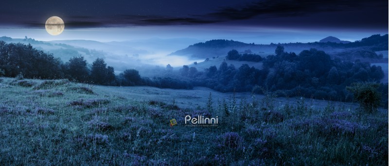 panorama of beautiful foggy night in mountains. purple thyme flowers on the grassy meadow. high mountain in the distance. wonderful landscape