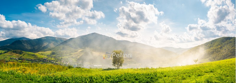 panorama of beautiful mountainous countryside. tree on the hill side in smoke from fire in the valley. wonderful bright autumn landscape with gorgeous cloudscape