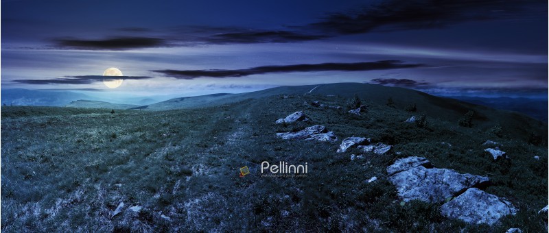 panorama of beautiful carpathian alpine meadows at night in full moon light. wonderful summer landscape. stones on the edge of a hill