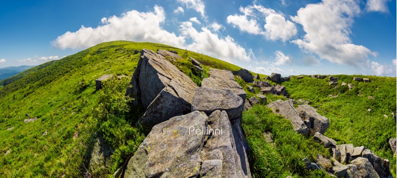 panorama of gorgeous mountainous summer landscape. huge rocky formations on the steep grassy slopes. beautiful cloud formation on the blue sky. Ukrainian Carpathians. absolute freedom concept